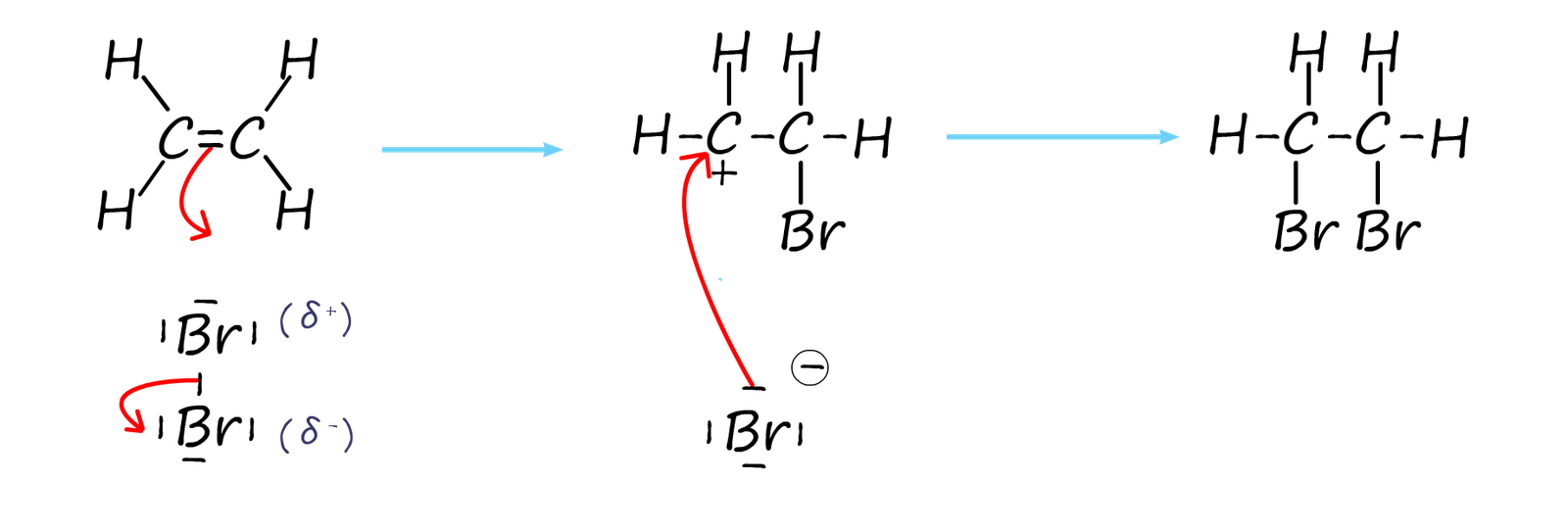 mechanism of electrophilic addition of bromine